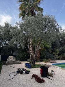 IMG_0610