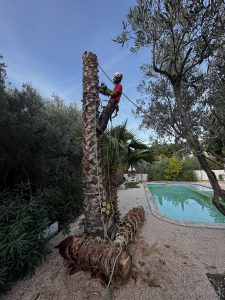 IMG_0628 2