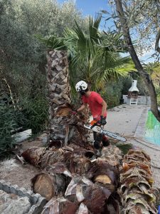 IMG_0637 2