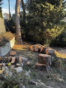 IMG_1629